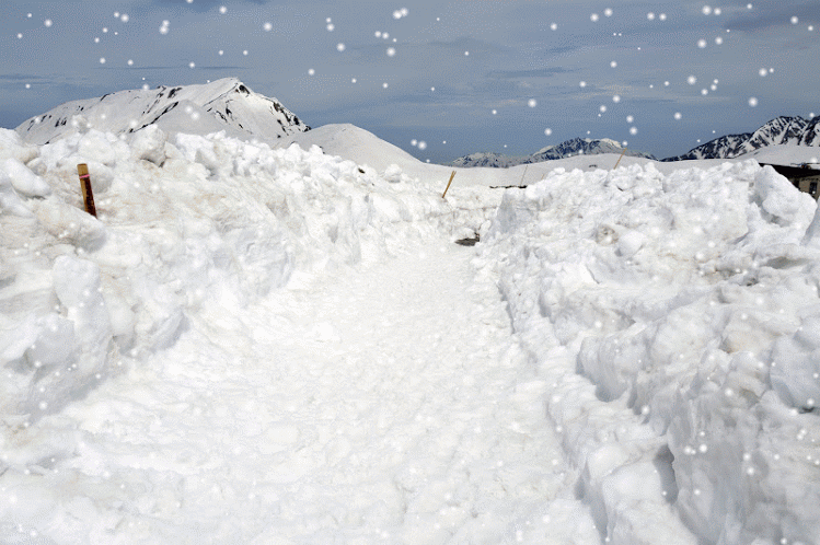 DSC_0277-SNOW