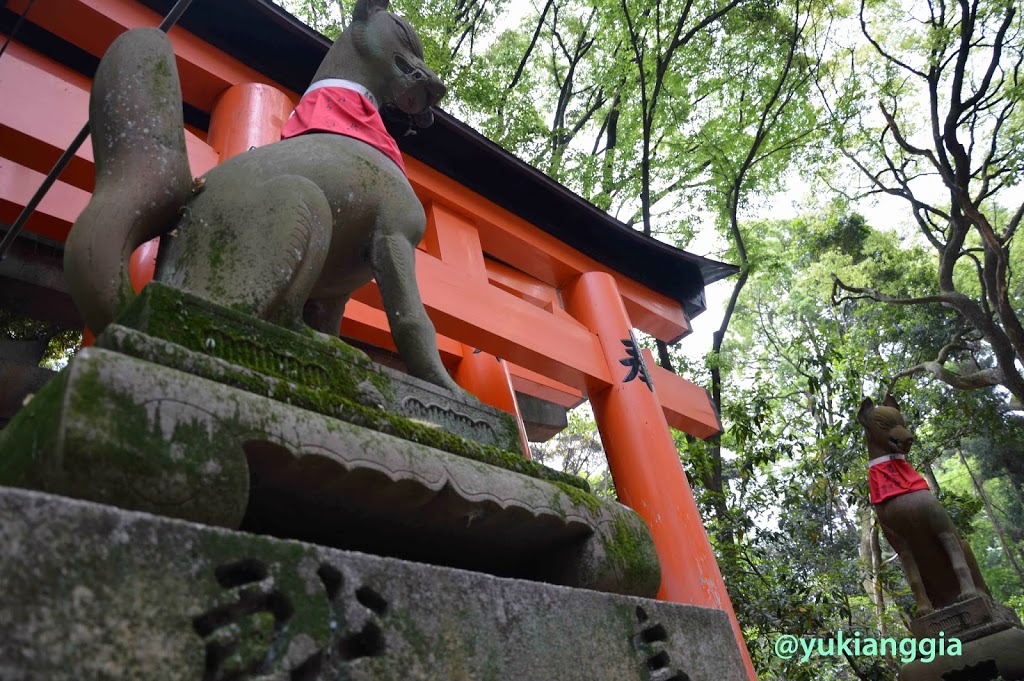 fushimi-11