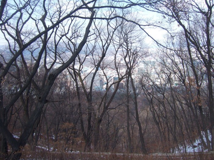 namsan tower
