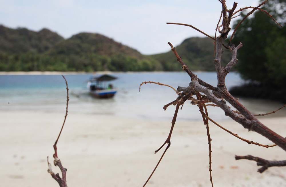 pulau pahawang
