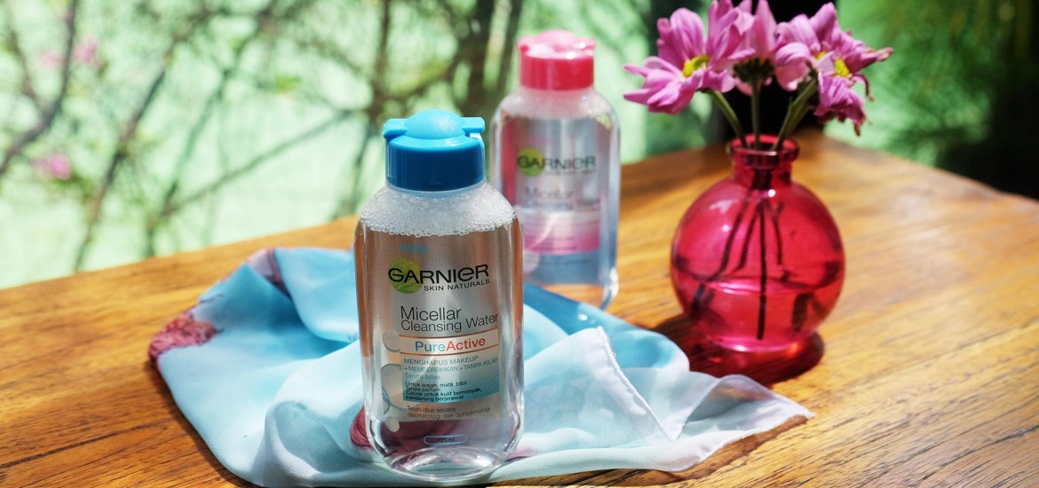 ohelterskelter.com garnier micellar water