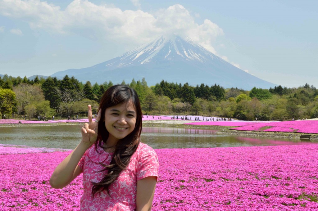 Berbatik pink di Fuji Shibazakura Matsuri