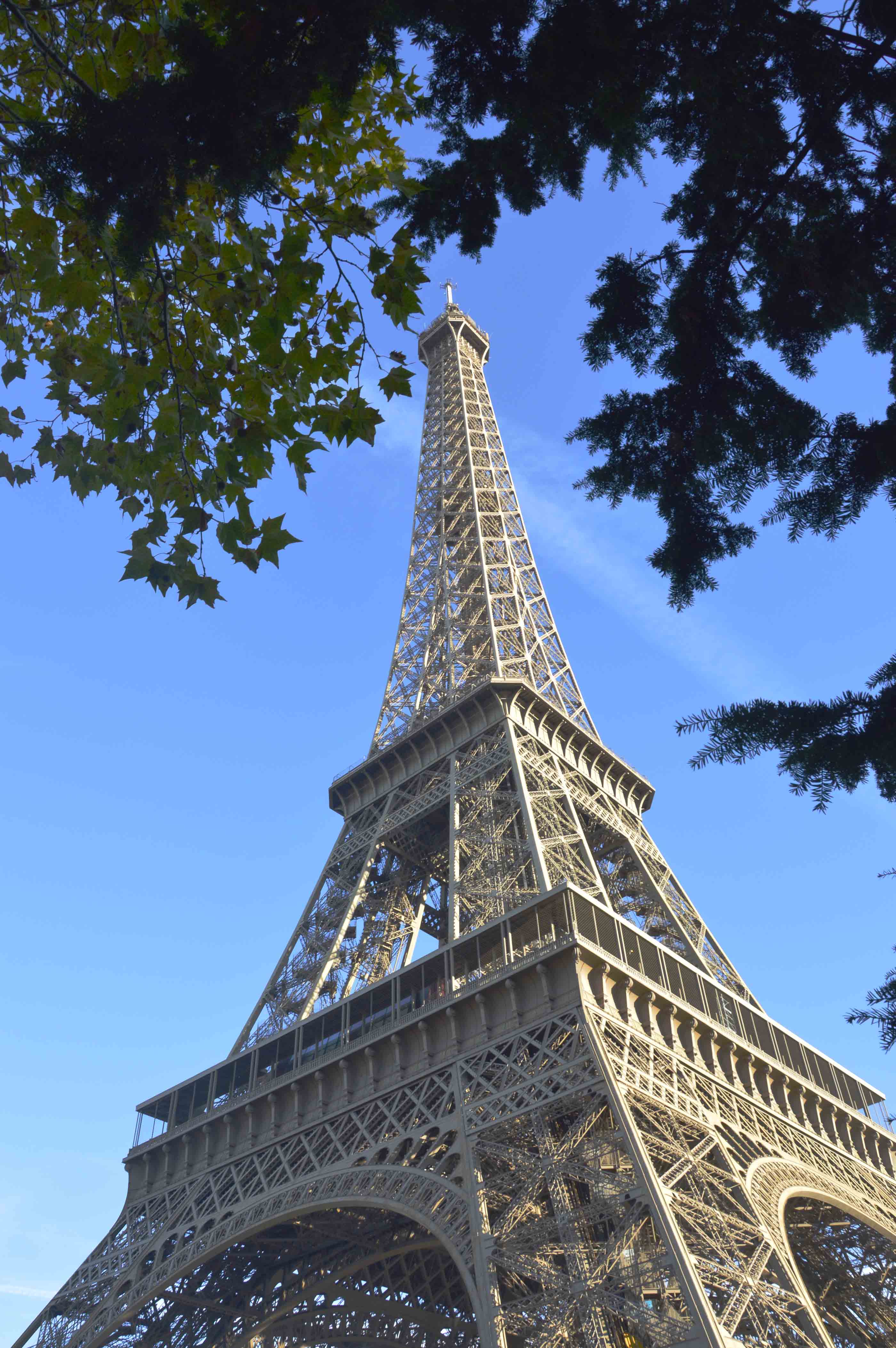 Pertemuan Senja di Menara Eiffel