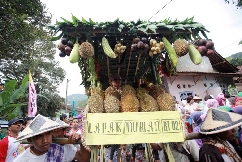 durian lolong