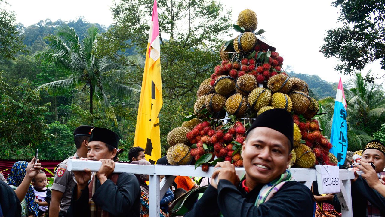 durian lolong