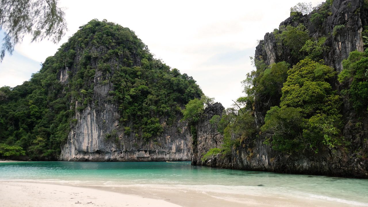 ohelterskelter.com koh hong